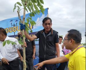 นายกแจ๊สนำชาวบ้านปลูกต้นชัยพฤกษ์ เฉลิมพระเกียรติ ชูเป็นแลนด์มาร์คใหม่คลองหลวง