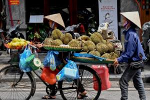 เวียดนามได้ไฟเขียวส่งออกทุเรียนไปอินเดีย ตลาดทางเลือกใหม่หลังจีนลดนำเข้า