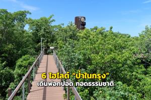 6 ไฮไลต์ “ป่าในกรุง” เดินฟอกปอด กอดธรรมชาติ