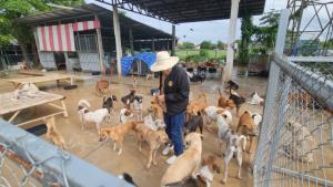 ผู้ว่าฯสุโขทัย เปิดจวน-ศาลากลาง จุดพลุแก้ปญหาหมาจรทั้งประเทศ!แนะทุก อปท.ออกข้อัญญัติคุม