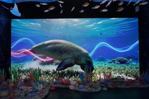 “SEA THE CHANGE” นิทรรศการรักษ์ทะเลแห่งปี ชมฟรีถึง 12 ส.ค.