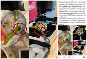 ลูกค้าชาบูร้านดังเชียงใหม่อ้างเจอแมลงสาบคาซุป คนแห่เมนต์ถล่ม-หาพิกัดกันวุ่น