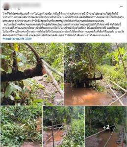 คนตัดมันบ้า! โซเชียลด่ายับผู้จัดงานวิ่งเทรล "ดอยสุเทพ" จ้างคนตัดต้นไม้ปรับเส้นทางในเขตอุทยานฯ อ้างเข้าใจผิด