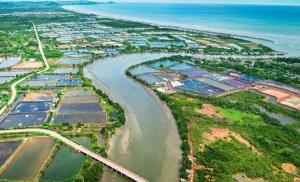 ศึก "น้ำ-ป่า" คลองวังโตนด เดิมพัน EEC กับผืนป่าสุดท้ายภาคตะวันออก