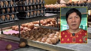โคราชโอดไข่“อนุทิน”แพงซ้ำขาดตลาด สะพัดส่งออกต่างประเทศจนขาดแคลน จี้ รบ.บริหารให้ดีไม่ให้กระทบคนในประเทศ