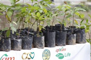 ซีพีแรม เพิ่มพื้นที่สีเขียวกว่า 2.88 แสนตารางเมตร สานต่อ “CPRAM Green Life” ปีที่13