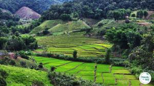 “ภูพยัคฆ์-บ้านน้ำรีพัฒนา” จากสมรภูมิสู้รบ เดินหน้าสู่แหล่งท่องเที่ยวเชิงอนุรักษ์ “คนอยู่กับป่าอย่างยั่งยืน”