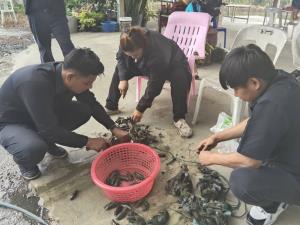 พลิกโฉมเกษตรกรไทย: กองทุนฟื้นฟูฯ ภาคกลาง ติดปีกดิจิทัล ดันสินค้า “Local” สู่ “Global”
