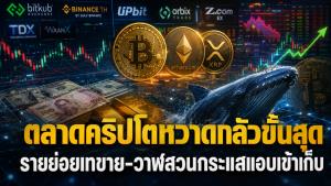 ตลาดคริปโตหวาดกลัว รายย่อยเทขาย-วาฬสวนกระแสแอบเข้าเก็บ