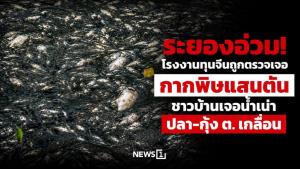 ระยองอ่วม! โรงงานทุนจีนถูกตรวจเจอกากพิษแสนตัน ชาวบ้านเจอน้ำเน่า ปลา-กุ้ง ต. เกลื่อน