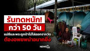 รันทดหนัก! กว่า 50 วัน แม่ชีและพระถูกป่าไม้ไล่ออกจากวัด ต้องอพยพน่าอนาถยิ่ง