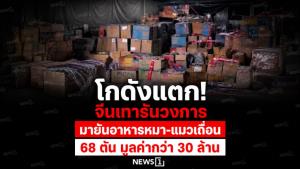 โกดังแตก! จีนเทารันวงการมายันอาหารหมา-แมวเถื่อน 68 ตัน มูลค่ากว่า 30 ล้าน
