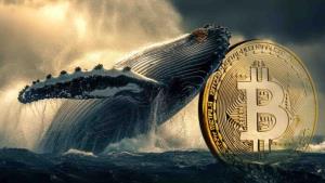 ปริศนาทุนใหญ่ย้ายบิทคอยน์ 52 ล้านดอลลาร์ออกจาก Coinbase สวนเทรนด์ตลาด