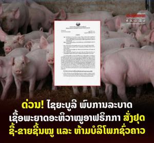 สั่งเด็ดขาด! ห้ามฆ่า-ห้ามกินหมู หลังไซยะบูลีพบ 