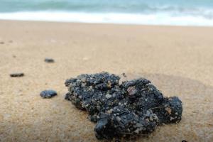 ภูเก็ตผวา! พบก้อนน้ำมัน-คราบน้ำมันเกยชายหาดไม้ขาว เร่งตรวจสอบหวั่นกระทบท่องเที่ยว