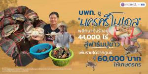 บพท. ชู “นครศรีโมเดล” พลิกนากุ้งร้าง 44,000 ไร่  สู่ฟาร์มปูขาว เพิ่มรายได้จากศูนย์ สู่ 60,000 บาทให้เกษตรกร