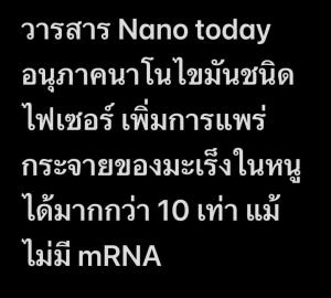 “หมอธีระวัฒน์” เปิดผลวิจัย LNP ชนิดที่ใช้ในวัคซีนไฟเซอร์ เร่งมะเร็งกระจายในหนู ชี้ต้องจับตาความปลอดภัย
