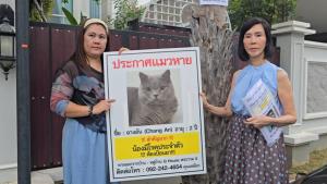 สุดเศร้า นักธุรกิจสาวประกาศให้รางวัล 100,000 บาท กับผู้ที่ตาม “ฉางอัน” แมวพันธุ์สกอตติชที่ป่วยมีโรคประจำตัวหายออกจากบ้าน