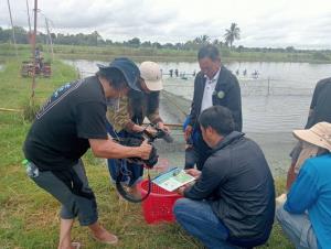 สั่งเอกซเรย์ด่วน!บ่ออนุบาลปลานิล หวั่น "ปลาหมอคางดำ"ปะปน หลังพบโผล่เขื่อนลำปาว