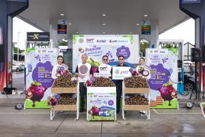 พีทีที สเตชั่น แจกฟรี มังคุดใต้เมื่อเติมน้ำมัน 500 บาท ระหว่างวันที่ 11-13 กันยายนนี้