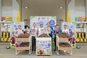 SUSCO จับมือ “กรมการค้าภายใน” รับซื้อมังคุดใต้ ช่วยเกษตรกร