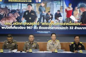 ปคบ.- ปศุสัตว์ ทลายขบวนการ “สารเร่งเนื้อแดง” รวบอดีตเซลส์ยึดวัว 667 ตัว-เงินสดกว่า 30 ล้าน