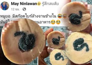 ผงะ!ผู้บริโภคหั่นหมูยอเจ้าดังเชียงใหม่เจอยัดไส้ “สก๊อตไบรท์”ม้วนพันเนียนกริ๊บ
