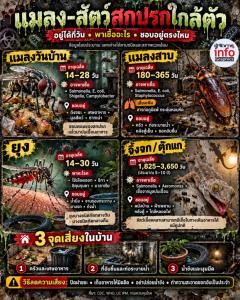 แมลง-สัตว์สกปรกใก้ลตัว