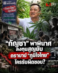 อวสานกัญชาเสรี! เจาะลึกโดมิโนเอฟเฟกต์ลงทุนสูญยับ ตราบาปนโยบาย "ภูมิใจไทย"