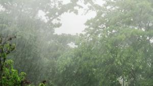 อุตุฯ ย้ำเตรียมรับมือฝนตกหนักถึงหนักมาก 25–27 ก.ย. นี้ เสี่ยงน้ำท่วมฉับพลัน–น้ำป่าไหลหลาก