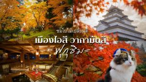 แจกพิกัด 5 จุดชมใบไม้เปลี่ยนสี เมืองไอสึ วากามัตสึ จังหวัดฟุกุชิมะ