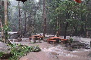 2 อุทยานฯ ใน "ระยอง-จันทบุรี" ประกาศปิดแหล่งท่องเที่ยวชั่วคราว เสี่ยงน้ำป่าไหลหลาก