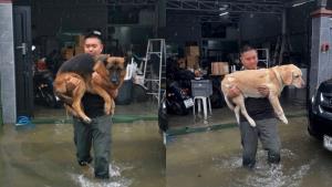 เอ็นดู! “เคลื่อนย้ายกำลังพล K9” หนีน้ำท่วม ครูฝึกอุ้มเจ้าตูบลุยน้ำทุลักทุเล