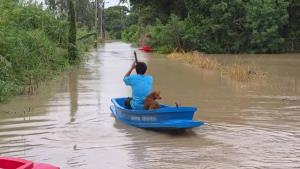 ฝนซ้ำ“สะแกกรัง”บรรจบน้ำเจ้าพระยา เอ่อแล้ว!ท่วมวัด-บ้านเรือนใกล้ฝั่ง จุดลุ่มต่ำมิดเป็นเมตร