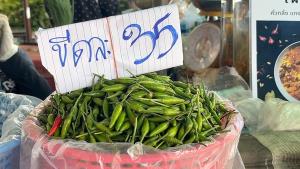 น้ำท่วมภาคกลาง กระทบผักสด-พริกขี้หนูขอนแก่นปรับขึ้นยกแผง
