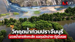 วิกฤตน้ำท่วมปราจีนบุรี มวลน้ำสารพิษทะลัก แฉทุนมักง่าย-รัฐนิ่งเฉย