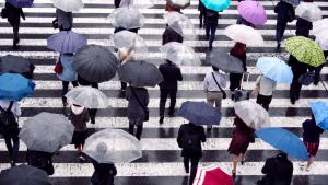 กรมอุตุฯ เตือน! ฝนหนักหลายพื้นที่ ระวังลมแรง-ฟ้าผ่า-ลูกเห็บ