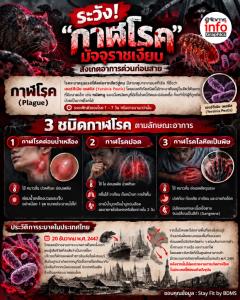 ระวัง! "กาฬโรค" มัจจุราชเงียบ สังเกตอาการด่วนก่อนสาย