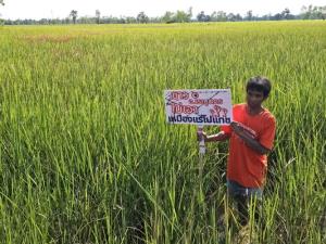 ชาวนครพนมตื่นตัวค้านสำรวจ “โพแทช” ปักป้ายกลางนา จี้ กพร.ทบทวนอาชญาบัตรพิเศษ–เร่งสอบหลุมเจาะต้องสงสัย