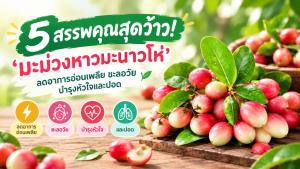 5 สรรพคุณสุดว้าว! ‘มะม่วงหาวมะนาวโห่’ ลดอาการอ่อนเพลีย ชะลอวัย บำรุงหัวใจและปอด