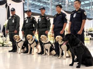ตชด.เปิดศึก “BPP K-9 Challenge 2026” ประชันสุนัขตำรวจ ทดสอบความเร็ว-แม่นยำ 16-18 ต.ค.นี้
