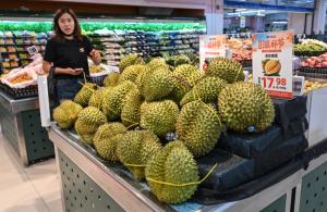 สื่อจีนจับตาไทยเสนอเก็บภาษีส่งออกทุเรียน หวั่นกระทบราคาในจีน