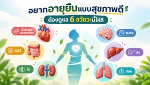 อยากอายุยืนแบบสุขภาพดี ต้องดูแล 6 อวัยวะนี้ให้ดี
