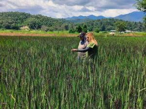 ศูนย์เมล็ดพันธุ์ข้าวลำปาง ส่งเสริมปลูก “ข้าวสายน้ำแร่แจ้ซ้อน” ผ่านวิสาหกิจชุมชน ผลักดันให้เป็นข้าวอัตลักษณ์พื้นถิ่นที่มีมูลค่าสูง