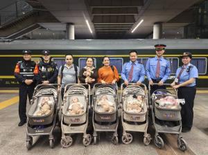 น้ำใจเต็มขบวน! เจ้าหน้าที่รถไฟจีน-ผู้โดยสาร รับบทพี่เลี้ยงจำเป็น ช่วยคู่สามีภรรยาดูแล “แฝด 5” ตลอดการเดินทาง 36 ชั่วโมง (มีคลิป)