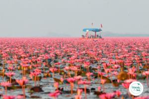 เที่ยว “พืชสวนโลก” แล้วไปต่อ กับ “10 ที่เที่ยวอุดรธานี” มีดีครบทุกมิติ