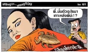 อะไรเกาะหลัง